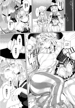 Page 13 of Soredemo Marisa ga suki