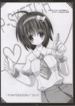 Page 13 of Cinderella Dreaming