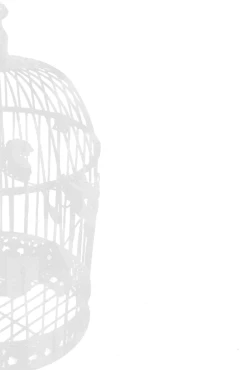 Page 24 of IDOLTIME COMICS COLLECTION