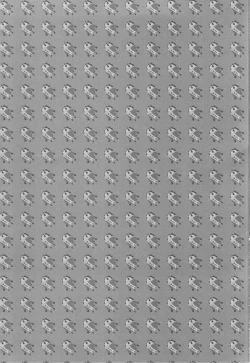 Page 2 of xx Senpai, Motto!