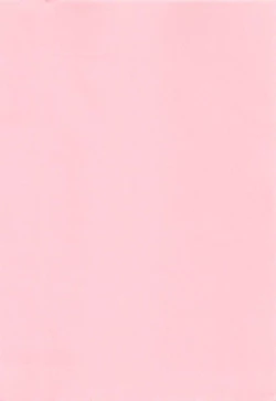 Page 169 of Idol tte Taihen!!