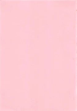 Page 4 of Idol tte Taihen!!