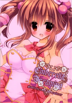 Page 21 of Cinderella Dreaming