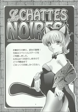 Page 4 of Bonne Chance