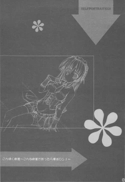 Page 7 of SELFPORTRAIT 2008