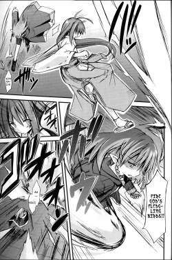 Page 29 of Hyouketsu no Miko