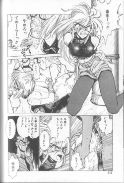 Page 211 of Shinkaida Tetsuyarou Daihyakka