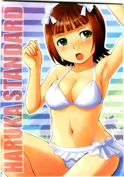 Page 28 of HARUKA STANDARD