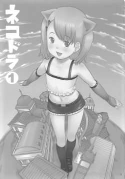 Page 2 of Nekodora 1kan