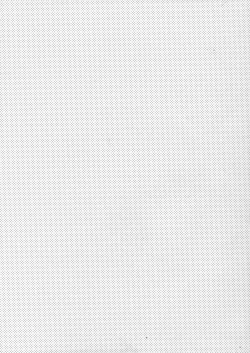 Page 5 of Mikoto to. 4