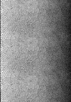 Page 4 of Kyousei Shinkon Seikatsubi-