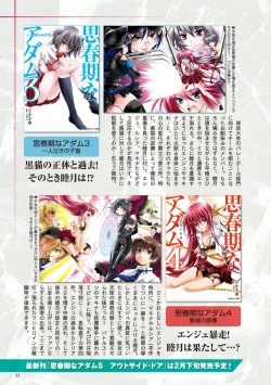 Page 21 of Shishunki na Adam Choi Netabare Guidebook