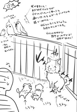 Page 25 of Match Uri no Otokonoko to Kime-seku