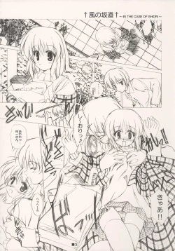 Page 3 of SELECTION AND COLLECTION 2003 IN THE CASE OF SHIORI