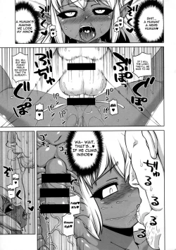 Page 24 of Hyakki Yakou Lv.3 WayouJingaiTan