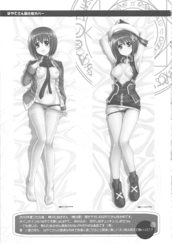 Page 19 of Nano Para 13