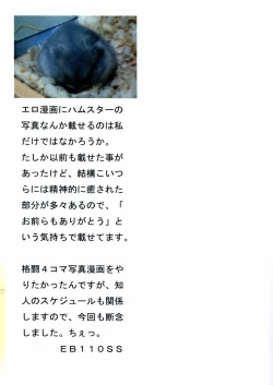 Page 177 of A, Chicchai ne