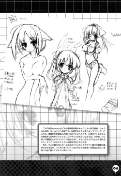 Page 242 of Newmanoid CAM Vol. 2 Shokai Genteiban