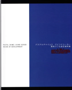 Page 26 of Pastel Chime 3 Guide Book + Extras