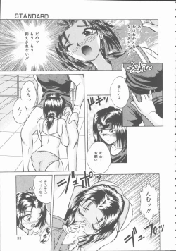 Page 33 of Hatsutaiken Monogatari