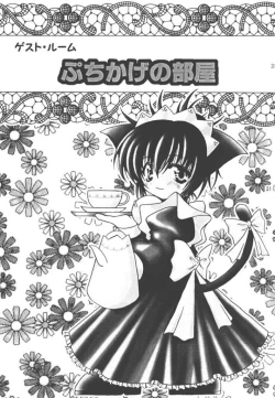 Page 29 of CURIOSITY