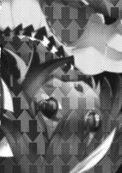 Page 3 of Kyouki Ningen