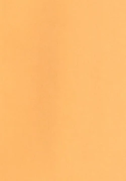 Page 3 of Kaminari no Chihare