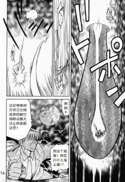 Page 15 of Submission Sailormoon