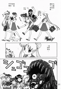 Page 20 of Submission Sailormoon