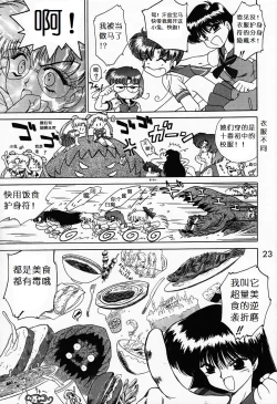 Page 22 of Submission Sailormoon