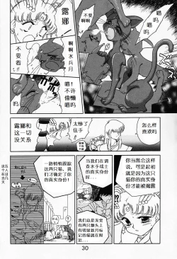 Page 29 of Submission Sailormoon
