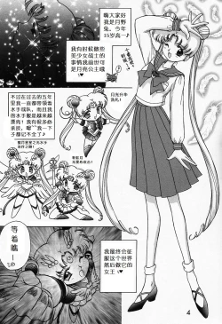 Page 3 of Submission Sailormoon