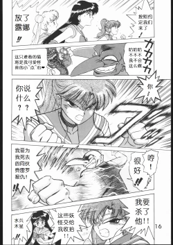 Page 15 of SUBMISSION MARS