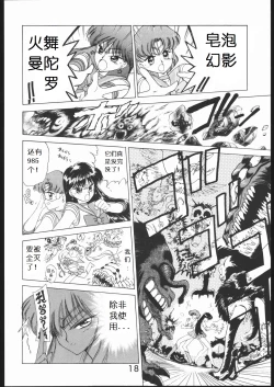 Page 17 of SUBMISSION MARS