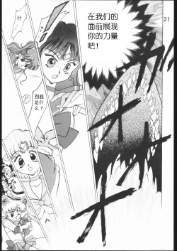 Page 20 of SUBMISSION MARS