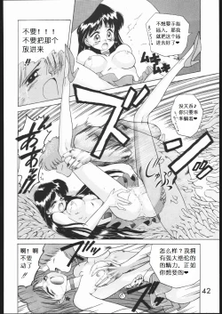 Page 41 of SUBMISSION MARS