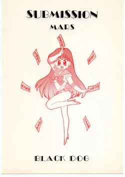 Page 54 of SUBMISSION MARS