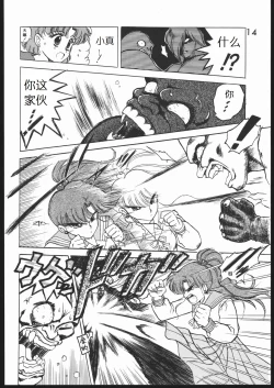 Page 16 of Submission Jupiter Plus