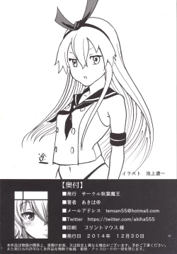 Page 29 of Chincolle