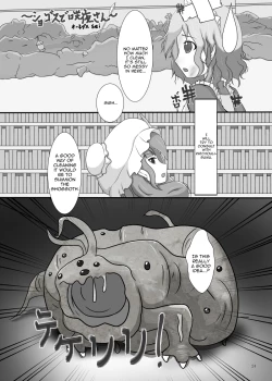 Page 25 of Marunomi no Kanzume - Touhou x Marunomi Situ Goudoushi