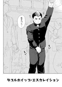 Page 4 of DOBLE WHIP ESCALATIONE