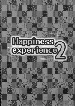 Page 3 of Happiness experience2
