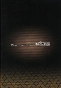 Page 24 of Suruga Test