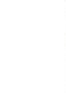 Page 20 of FORT ALPS