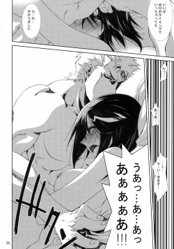 Page 33 of Kann-ro 21