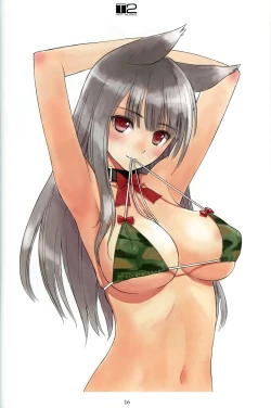 Page 15 of Tony's Kaizou note