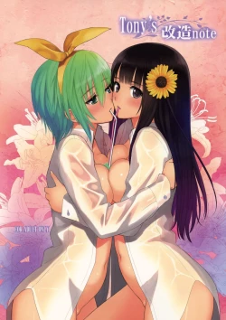 Page 1 of Tony's Kaizou note