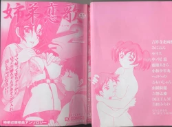 Page 116 of Kyoudai Renka 2