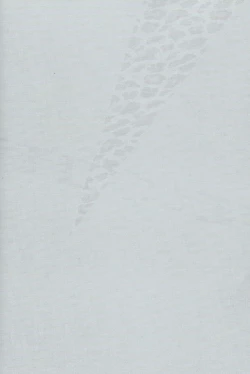 Page 2 of Kimi to Nekomimi