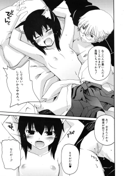 Page 13 of COMIC RiN 2009-01